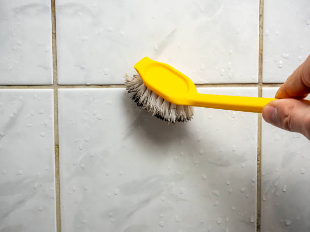 Best Mold Remediation  in Vandalia, OH