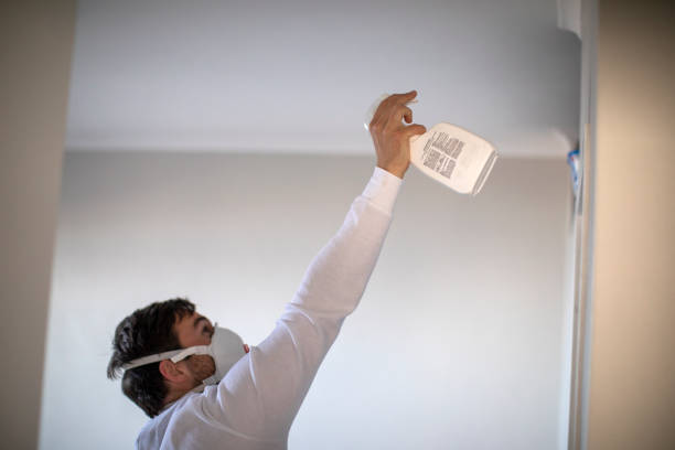 Best Mold Removal Near Me  in Vandalia, OH