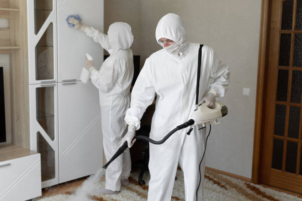 Best Mold Testing and Removal  in Vandalia, OH