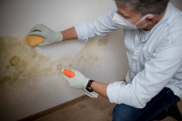 Water Damage Restoration in Vandalia, OH