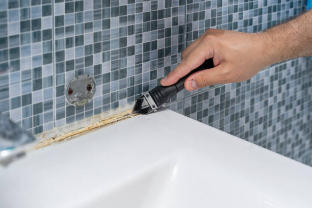  Vandalia, OH Mold Removal Pros